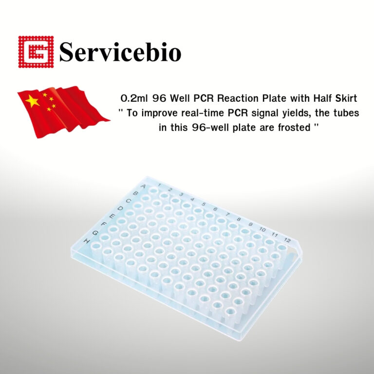 Ml Well Pcr Reaction Plate With Half Skirt Servicebio China