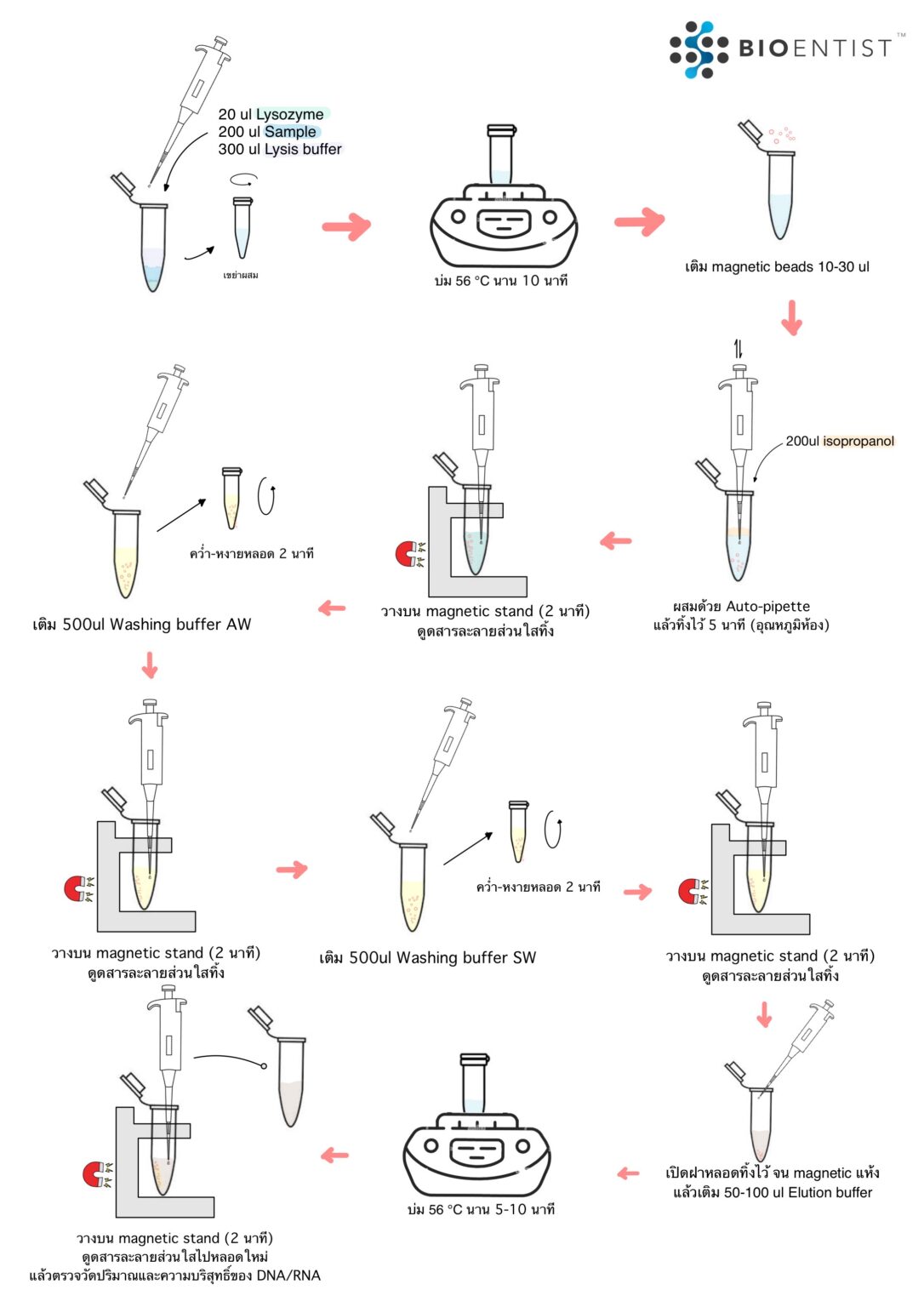 MagTec ViroNA, Nano beads for DNA/RNA Extraction, BIOENTIST