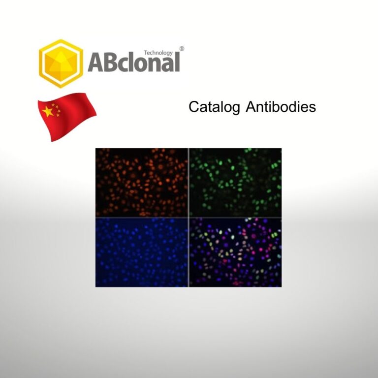 Catalog Antibodies, Abclonal, China BioEntist Co., Ltd.